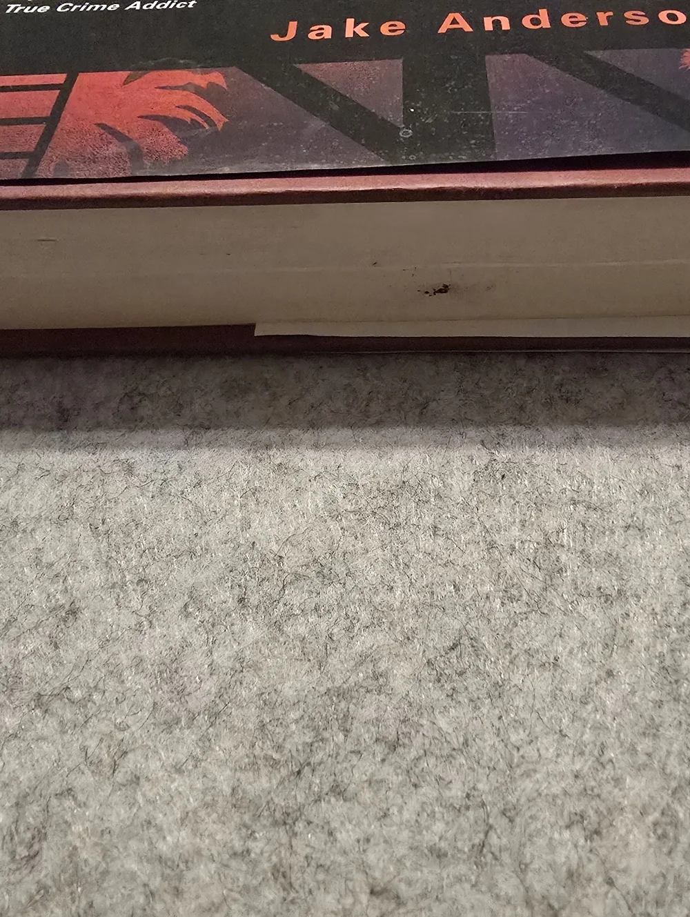 Gone At Midnight The Mysterious Death Of Elisa Lam By Jake Anderson Hardcover